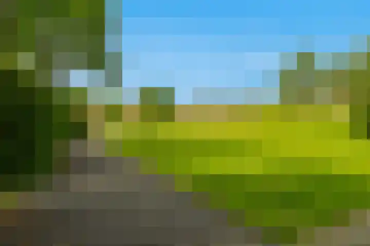 Glazenmakerhof 16 Den Haag thumbnail 50