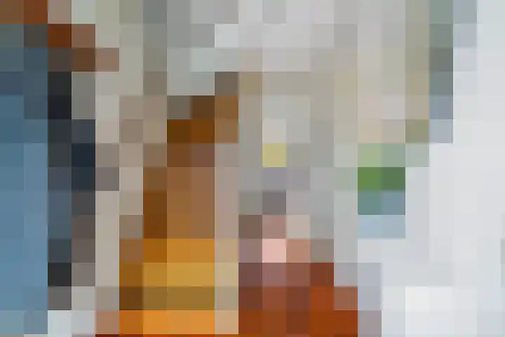 Glazenmakerhof 16 Den Haag thumbnail 6