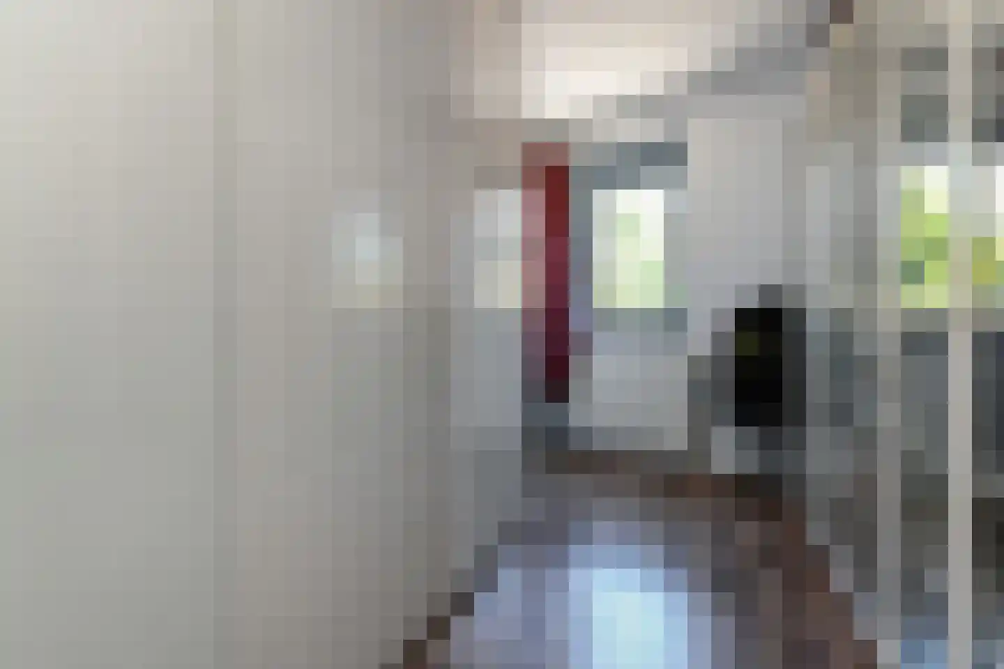 Glazenmakerhof 18 Den Haag thumbnail 20