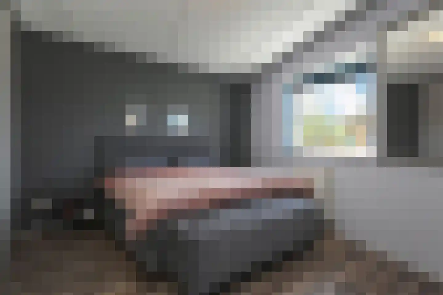 Glazenmakerhof 18 Den Haag thumbnail 4