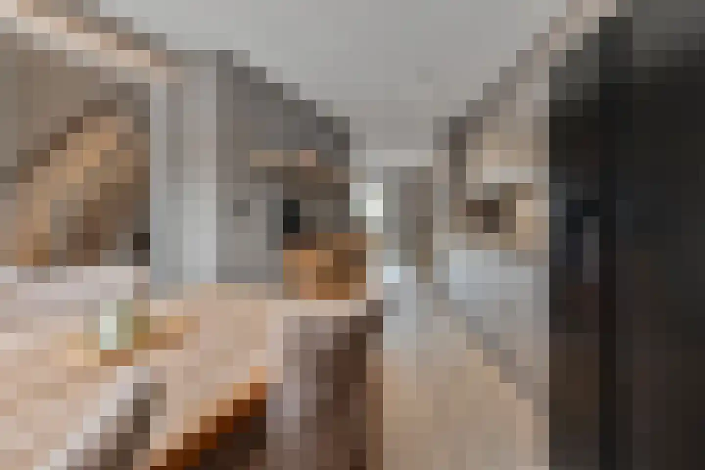 Glazenmakerhof 6 Den Haag thumbnail 10