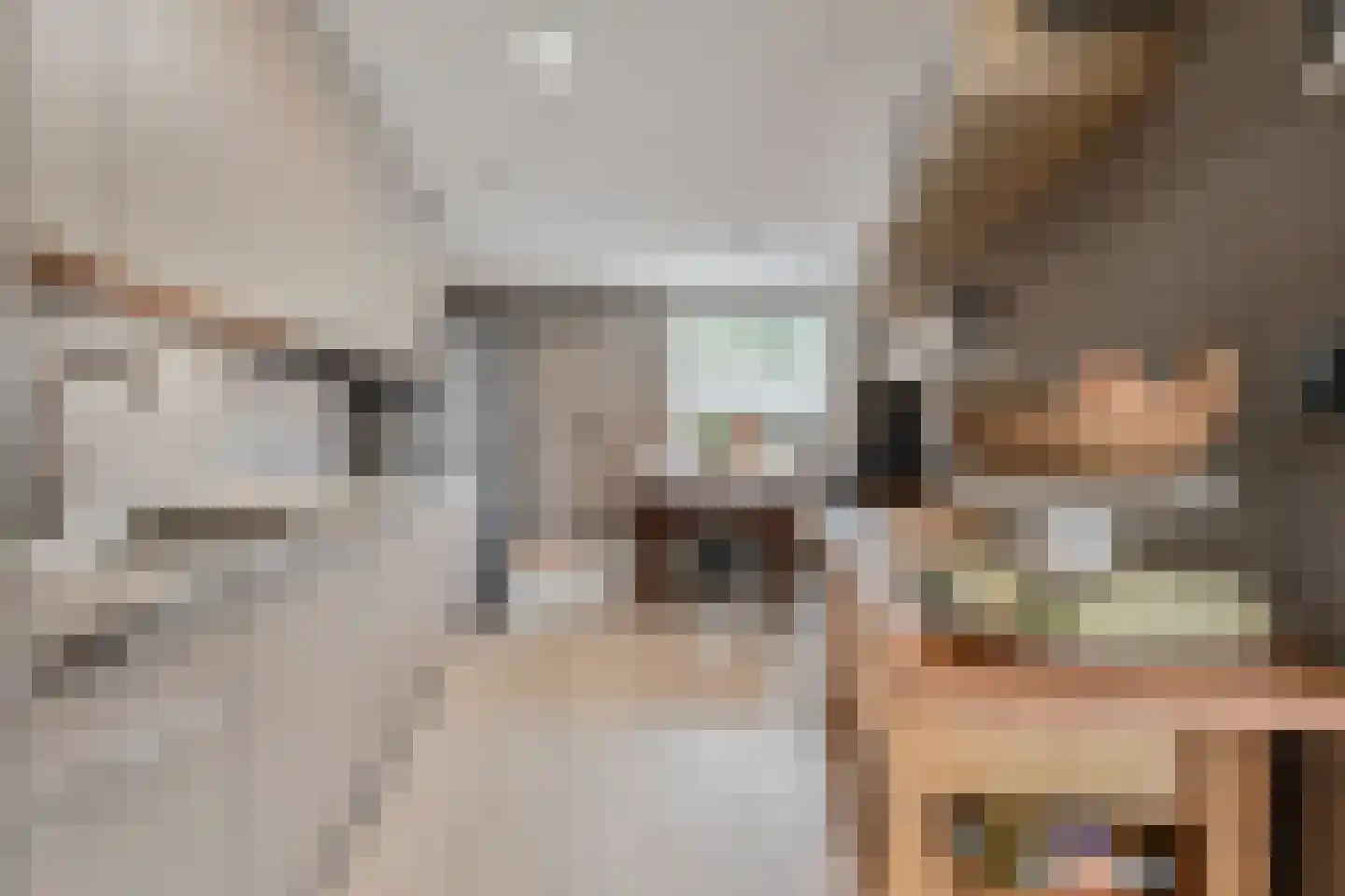 Glazenmakerhof 6 Den Haag thumbnail 12