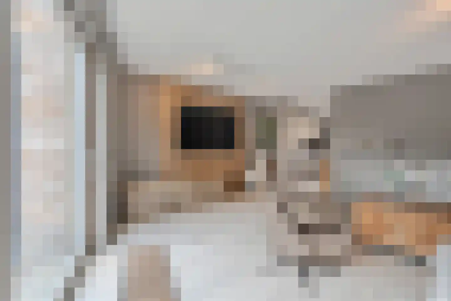 Glazenmakerhof 6 Den Haag thumbnail 14