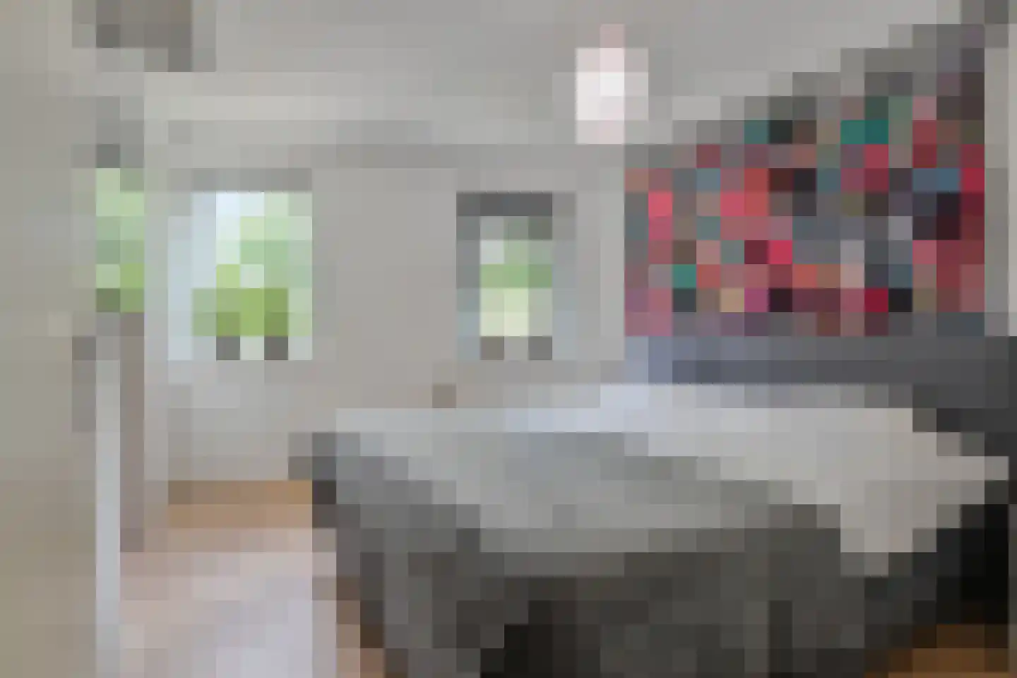 Glazenmakerhof 6 Den Haag thumbnail 16