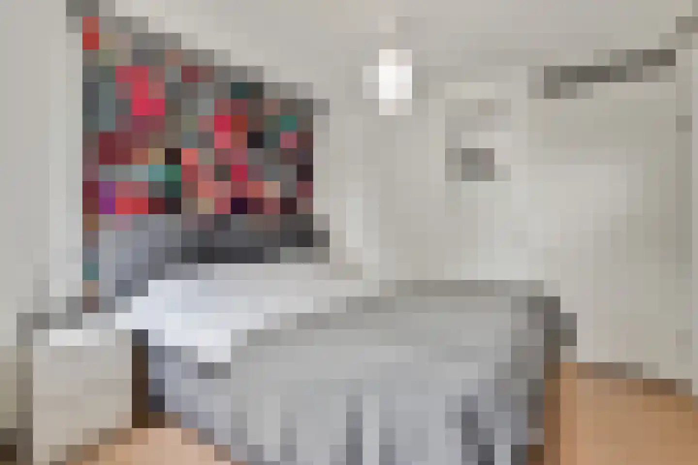 Glazenmakerhof 6 Den Haag thumbnail 17