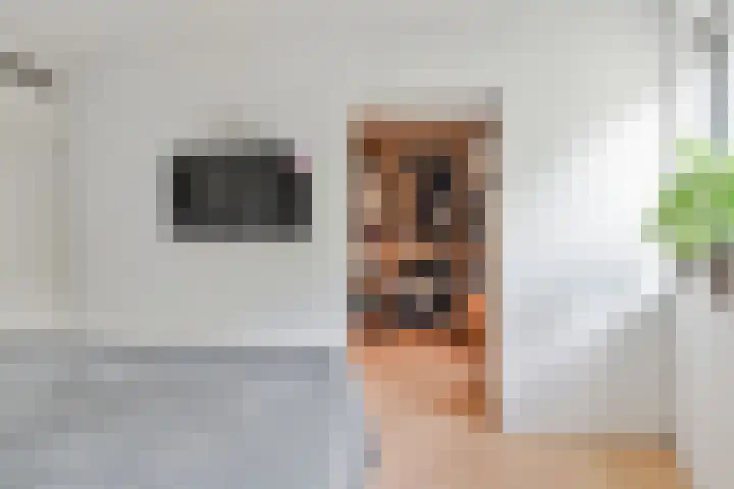 Glazenmakerhof 6 Den Haag thumbnail 18