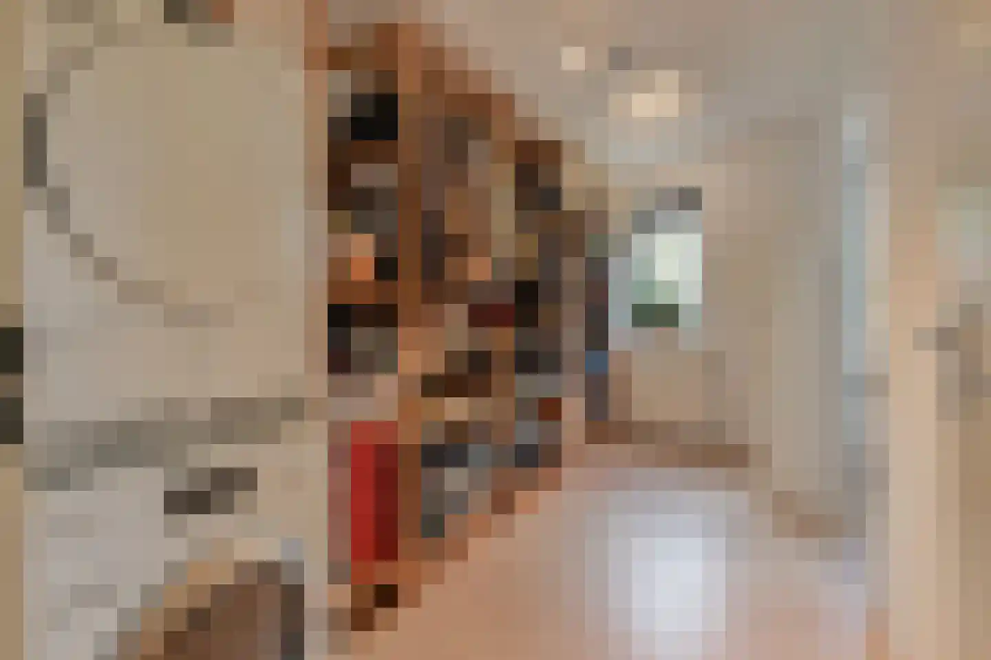 Glazenmakerhof 6 Den Haag thumbnail 19
