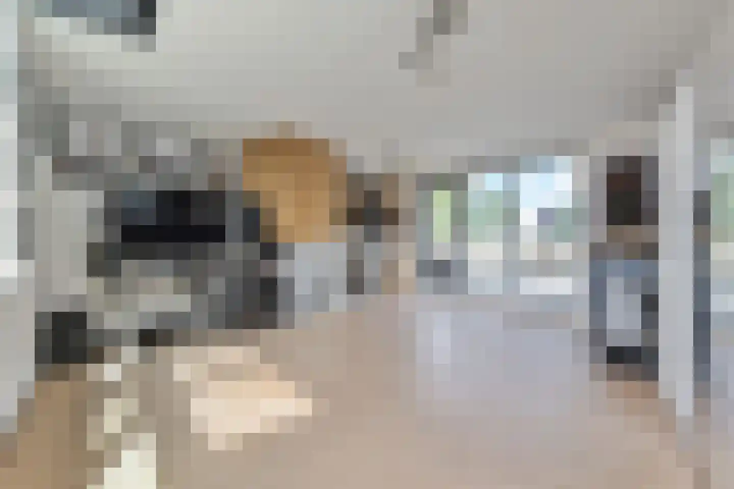 Glazenmakerhof 6 Den Haag thumbnail 27