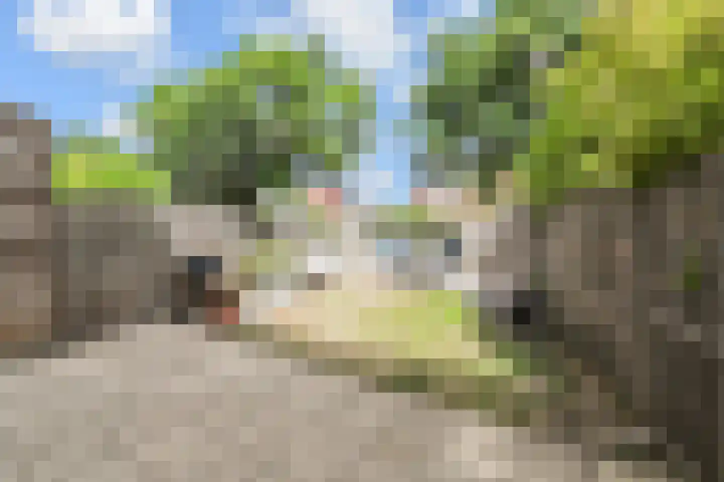 Glazenmakerhof 6 Den Haag thumbnail 32