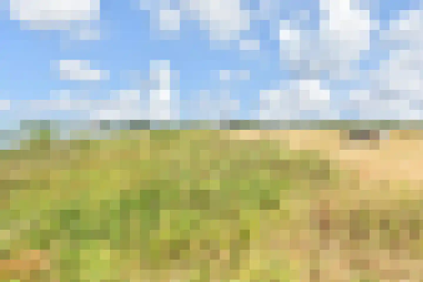 Glazenmakerhof 6 Den Haag thumbnail 37
