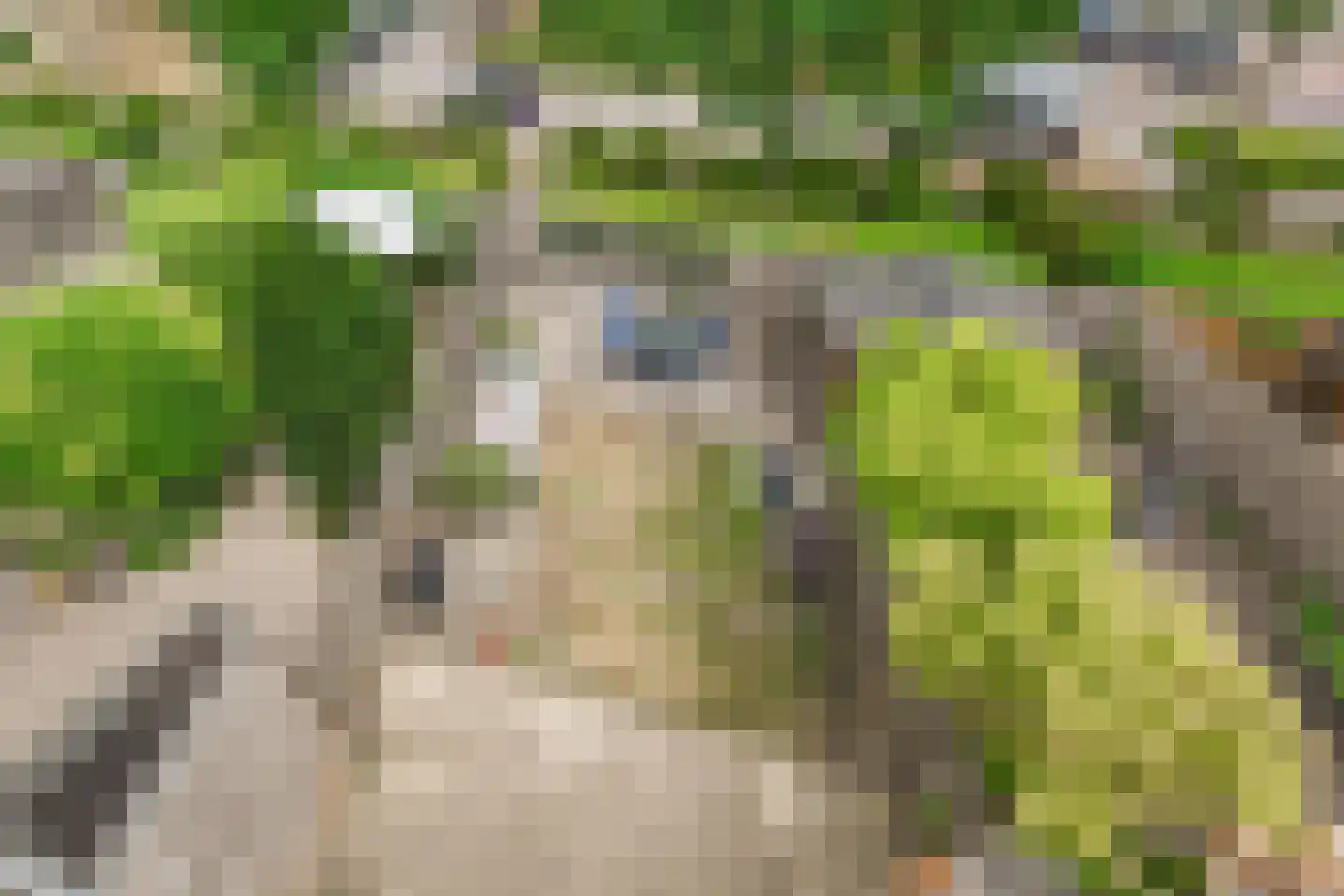 Glazenmakerhof 6 Den Haag thumbnail 5