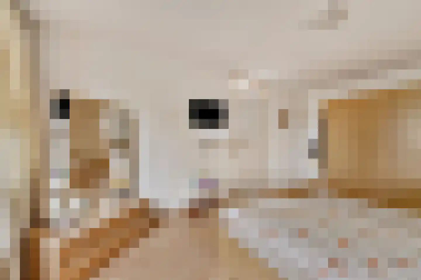 Glazenmakershof 11 Angeren thumbnail 17