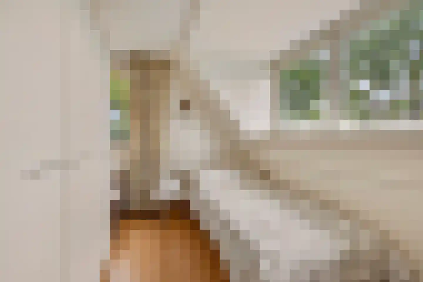Glazenmakershof 11 Angeren thumbnail 20