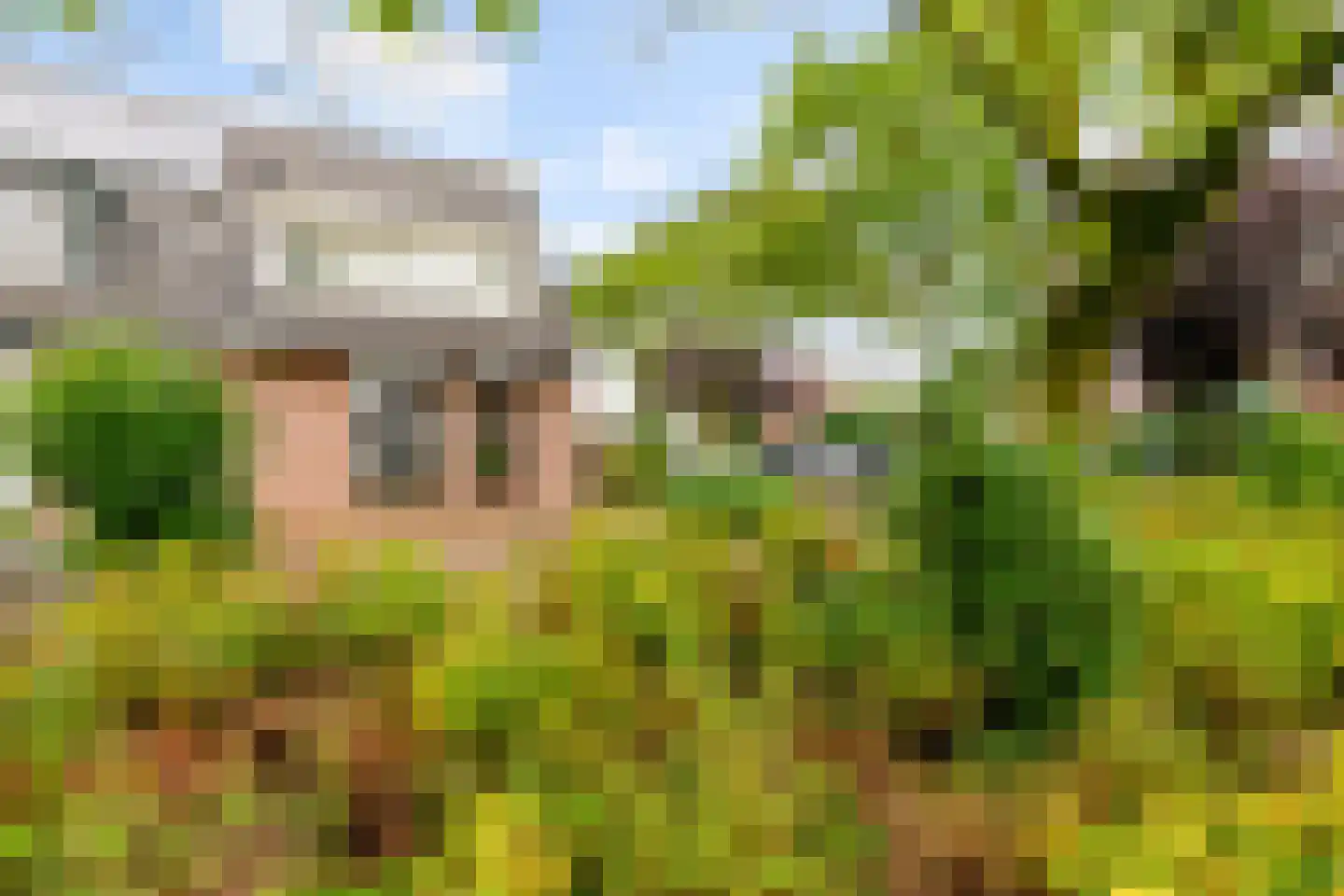 Glazenmakershof 11 Angeren thumbnail 31