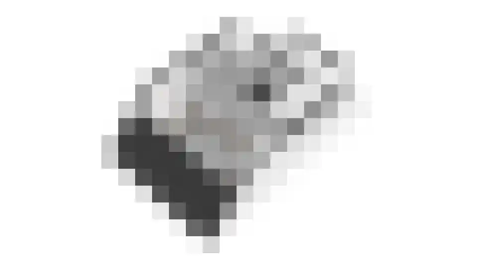 Glazenmakershof 11 Angeren thumbnail 38