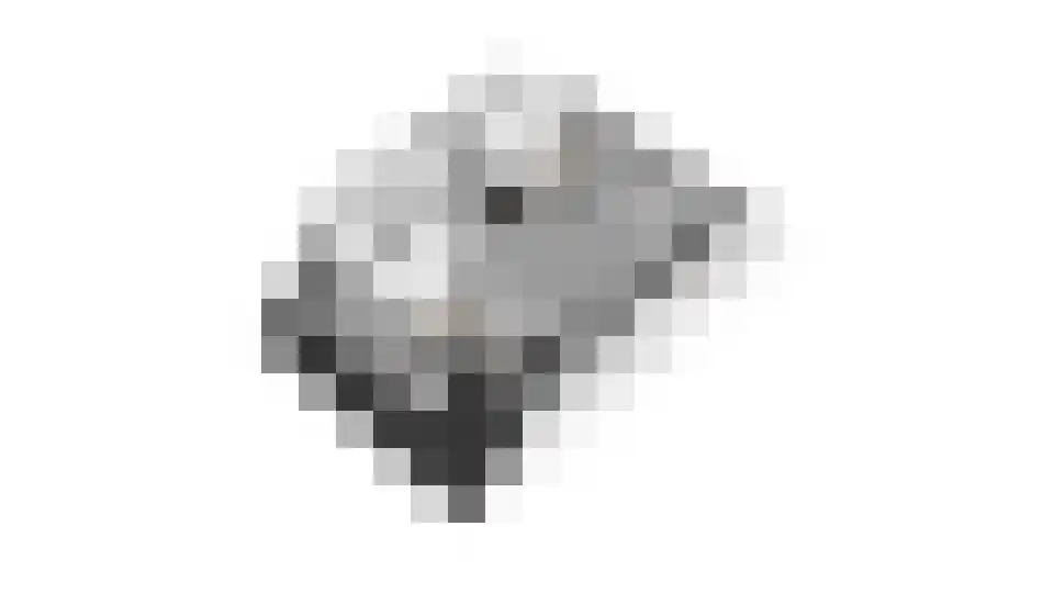 Glazenmakershof 11 Angeren thumbnail 39