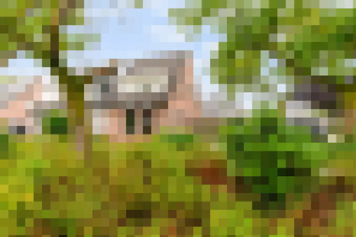 Glazenmakershof 11 Angeren thumbnail 5
