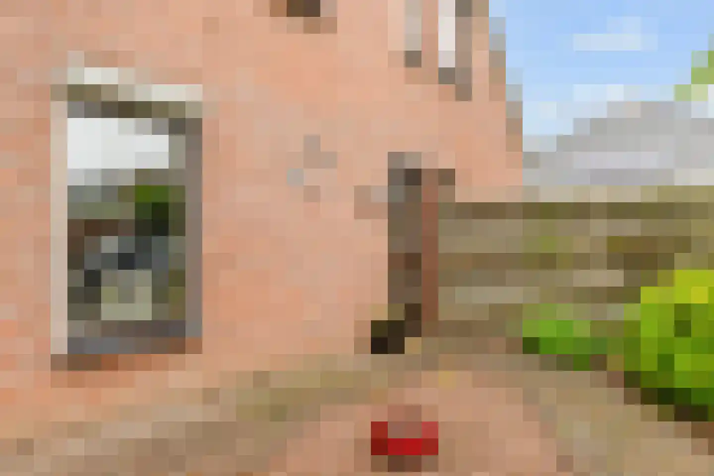 Glazenmakershof 11 Angeren thumbnail 6