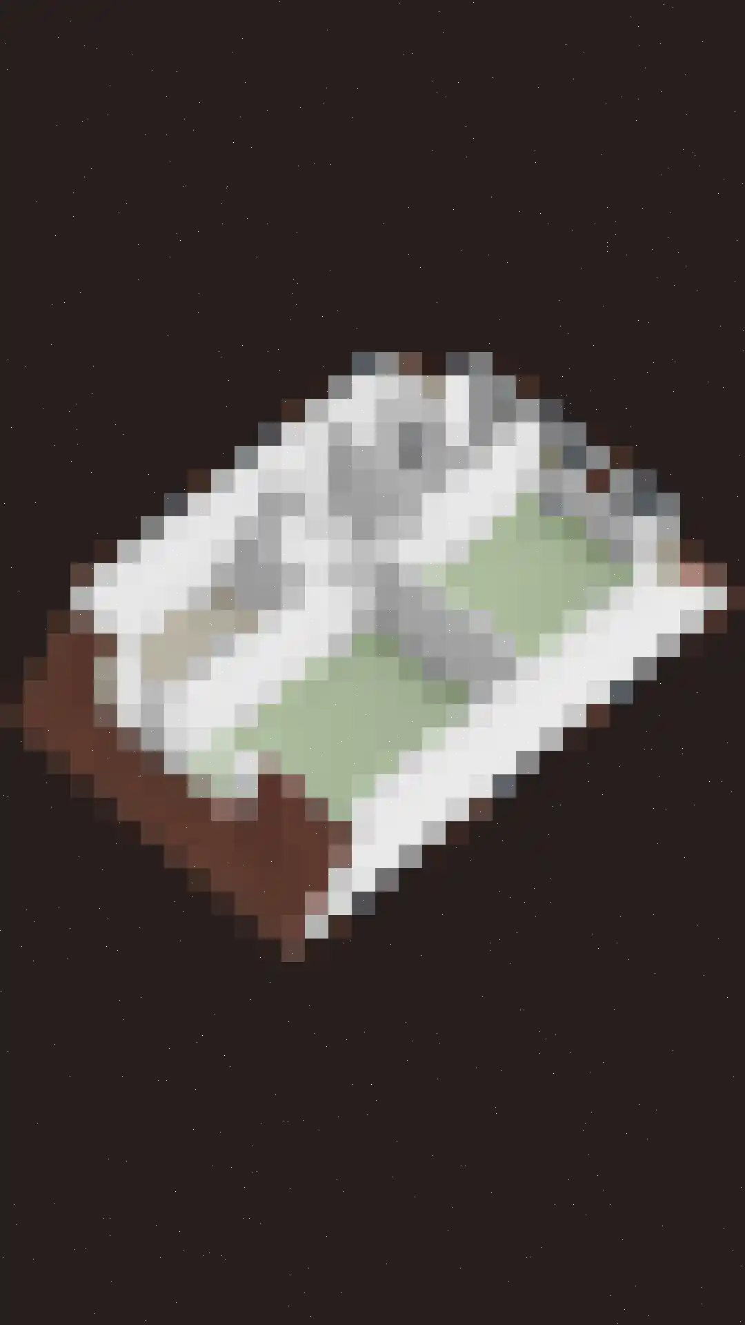 Glazenmakershof 9 Angeren thumbnail 39