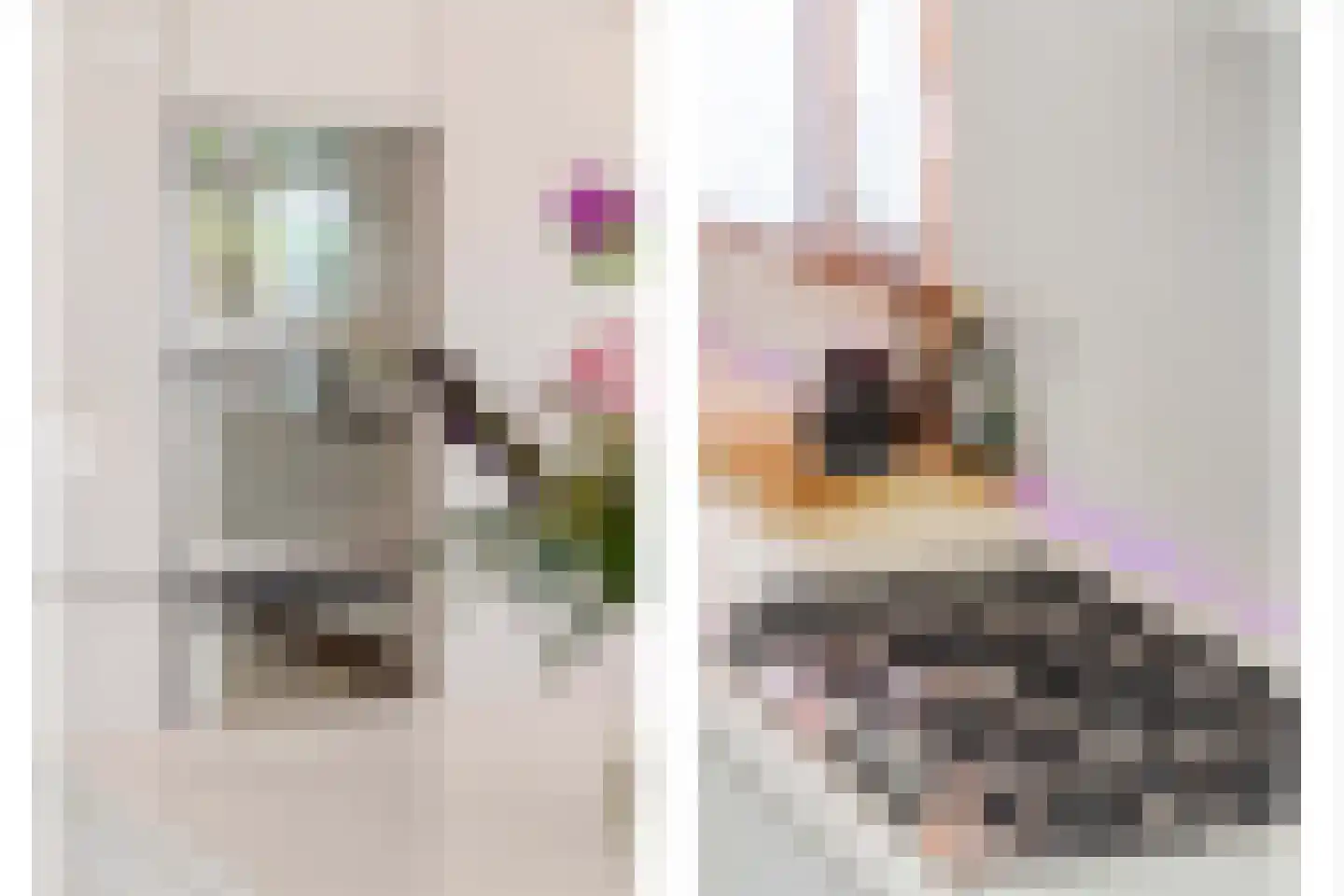 Glazoenowlaan 10 Rotterdam thumbnail 12