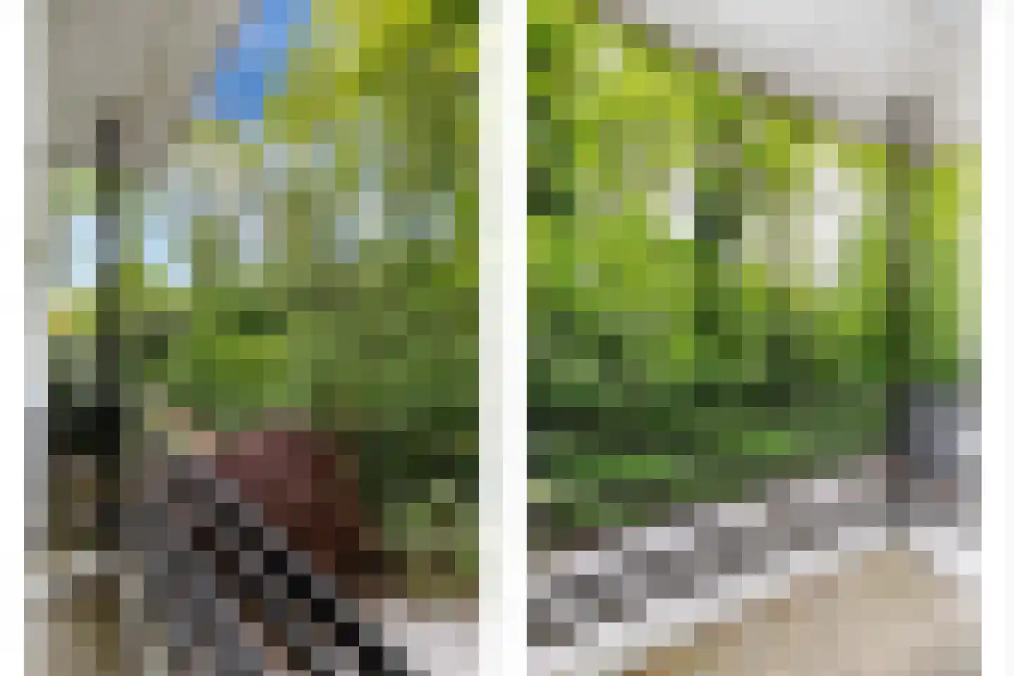 Glazoenowlaan 10 Rotterdam thumbnail 40