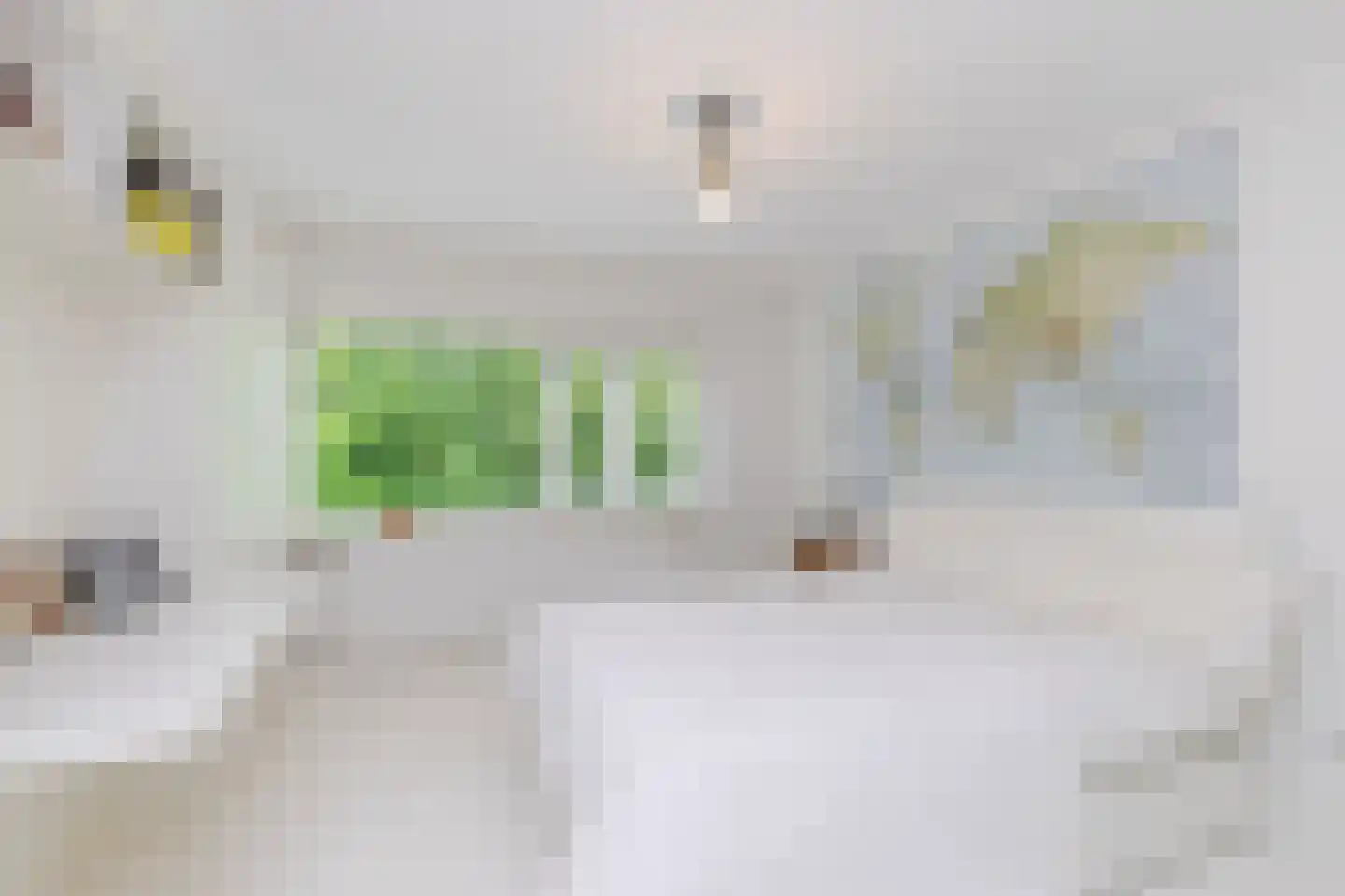 Glazoenowlaan 10 Rotterdam thumbnail 47