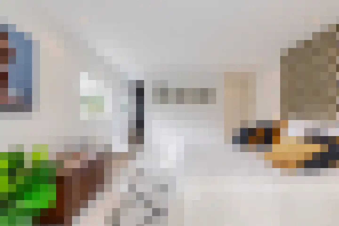 Glazoenowlaan 10 Rotterdam thumbnail 51