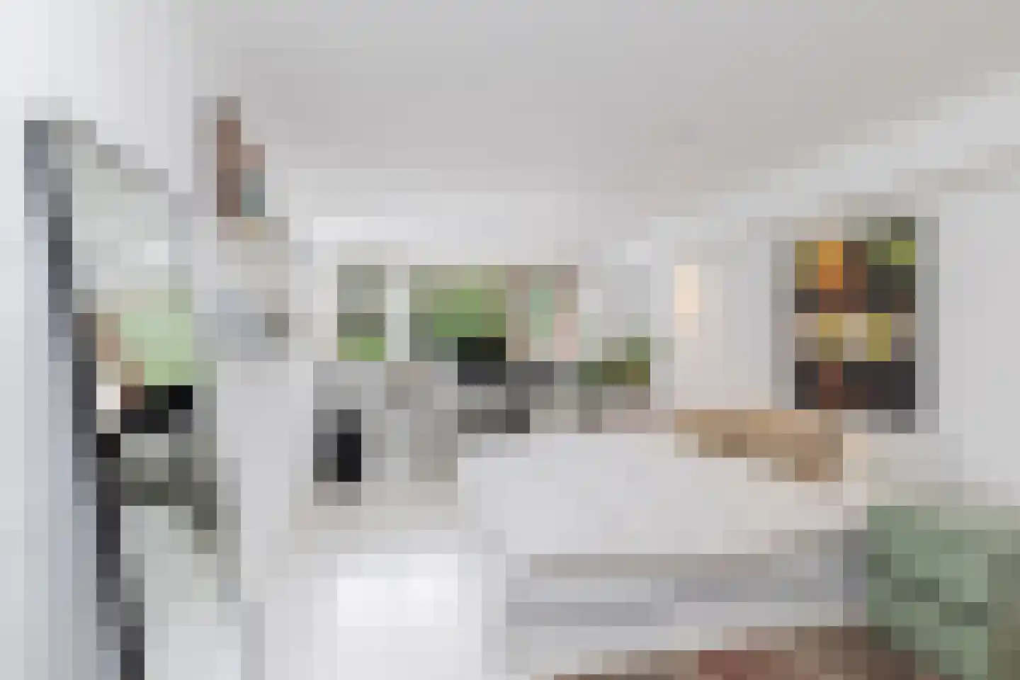 Glazoenowlaan 10 Rotterdam thumbnail 54