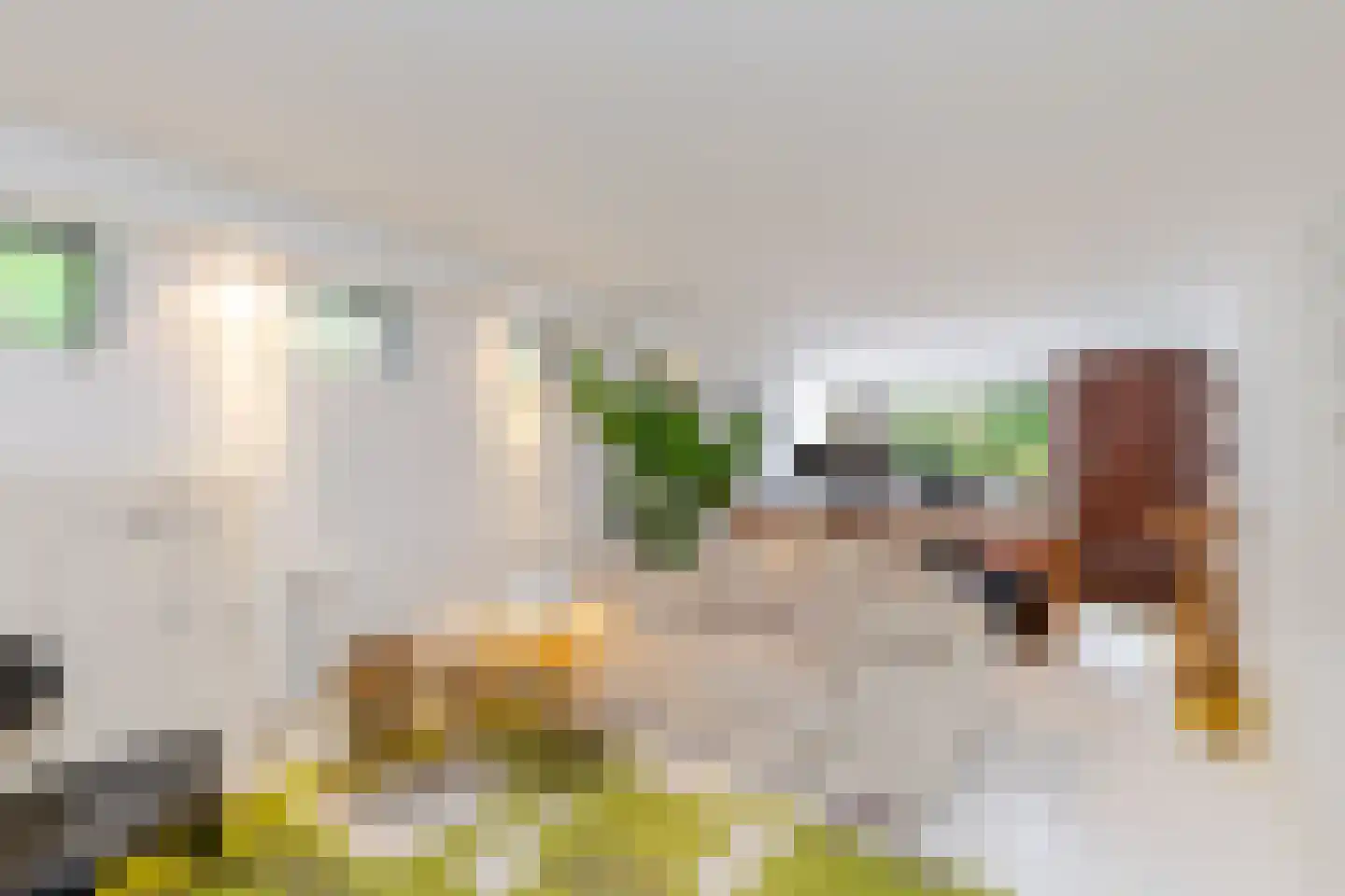 Glazoenowlaan 10 Rotterdam thumbnail 56