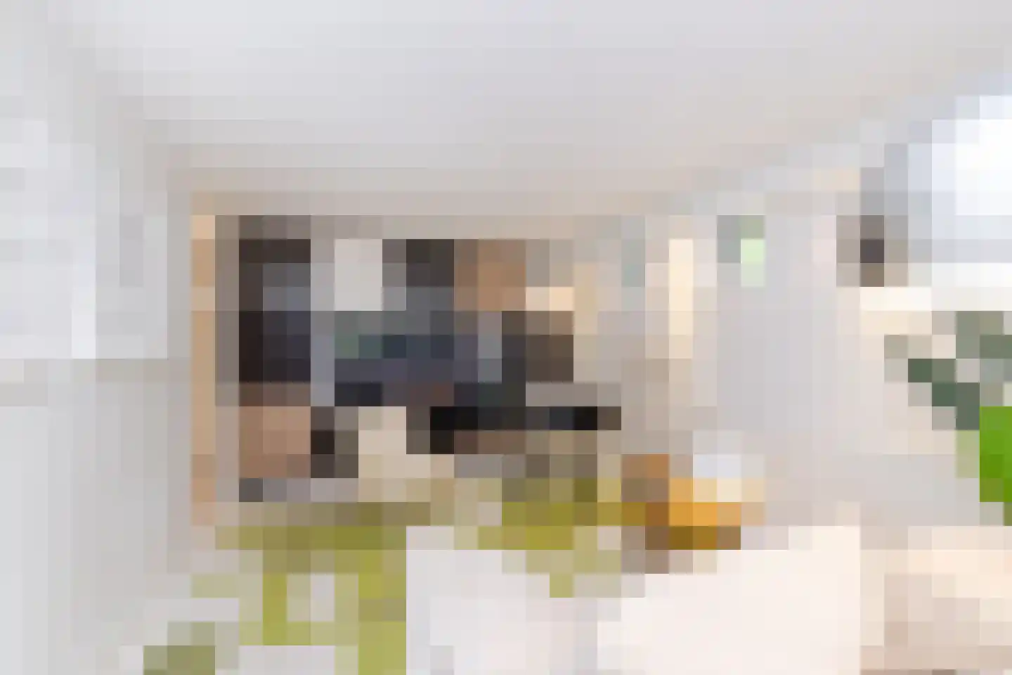 Glazoenowlaan 10 Rotterdam thumbnail 59