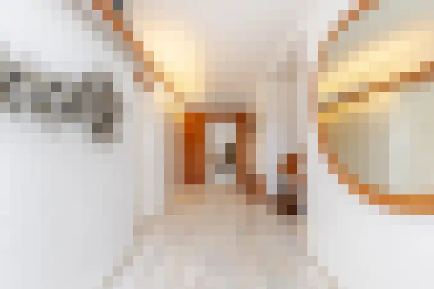 Glazoenowlaan 10 Rotterdam thumbnail 61