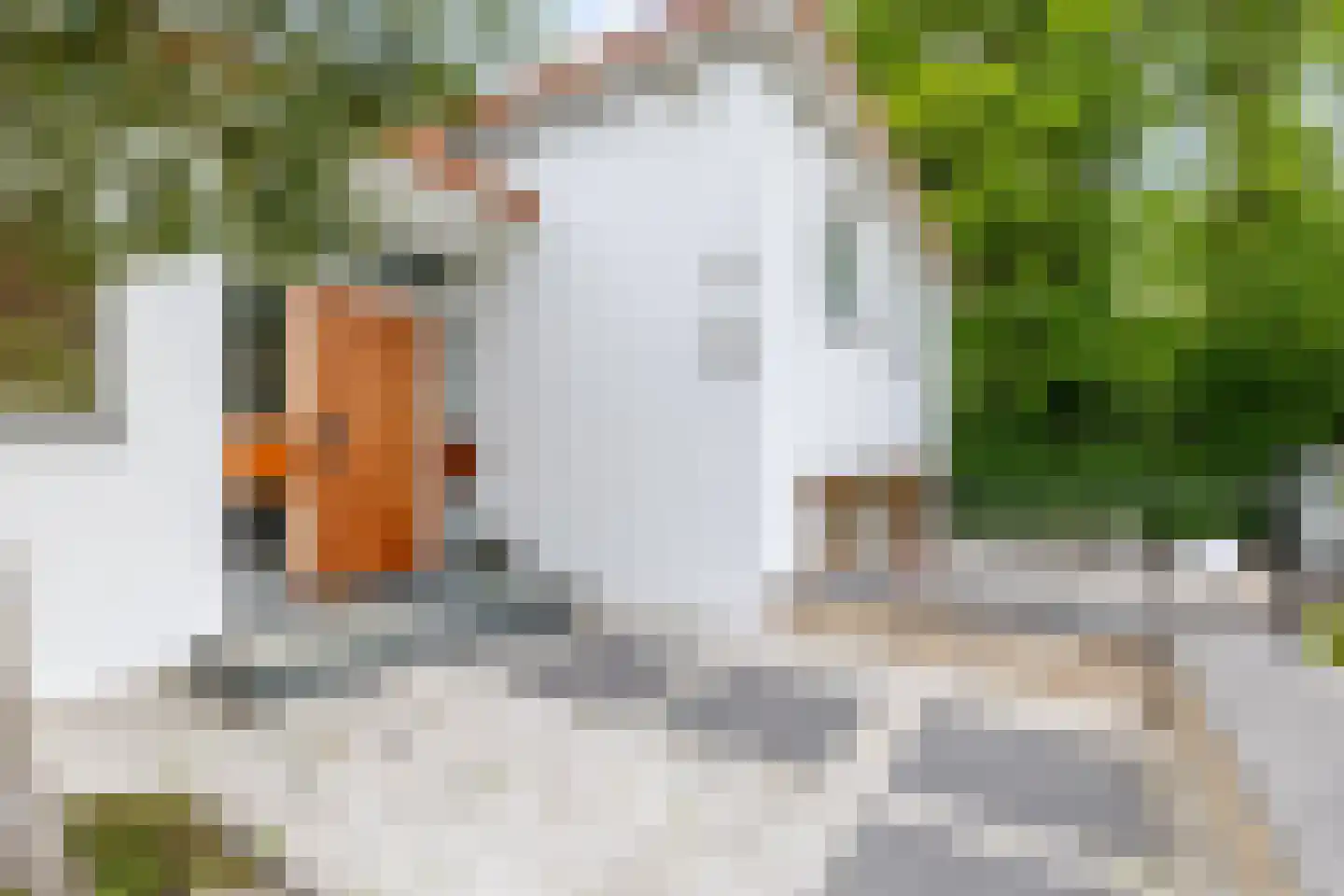 Glazoenowlaan 10 Rotterdam thumbnail 65