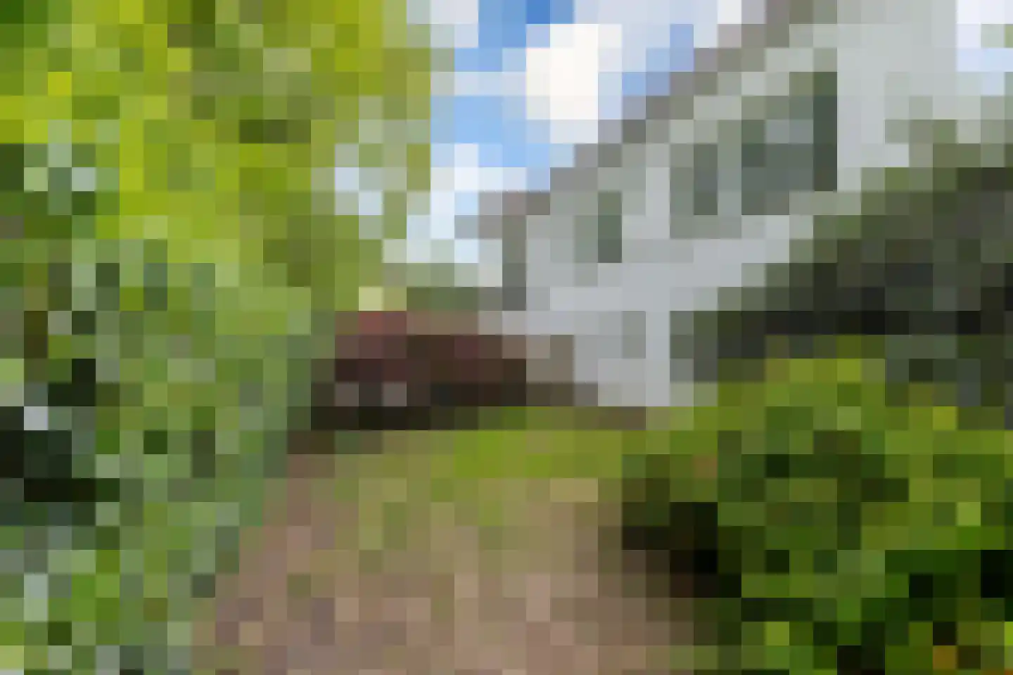 Glazoenowlaan 10 Rotterdam thumbnail 67