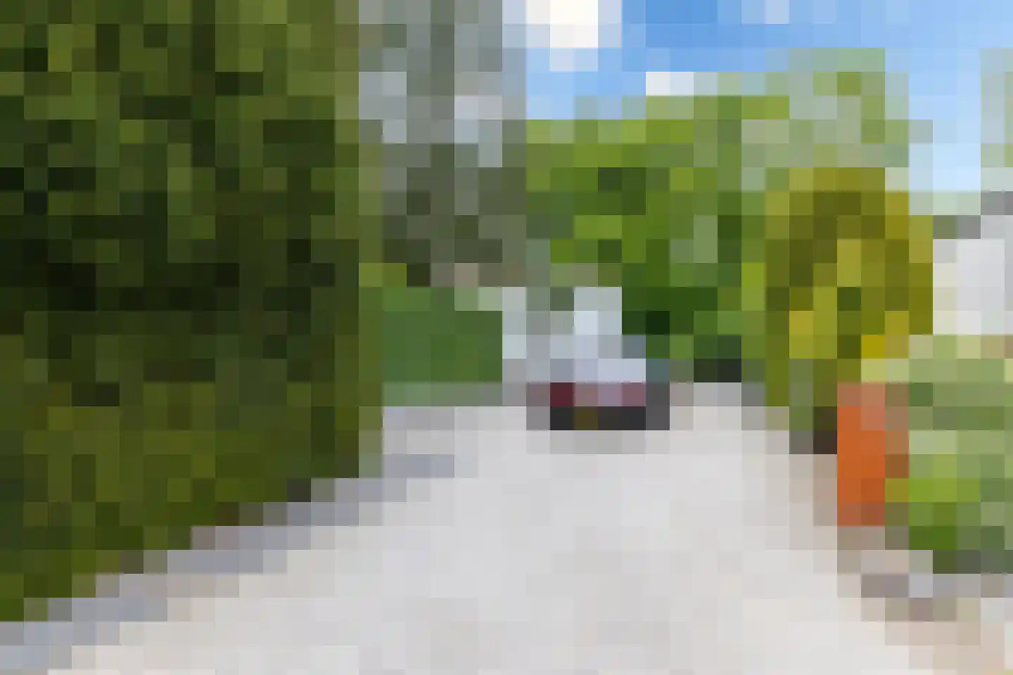 Glazoenowlaan 10 Rotterdam thumbnail 70