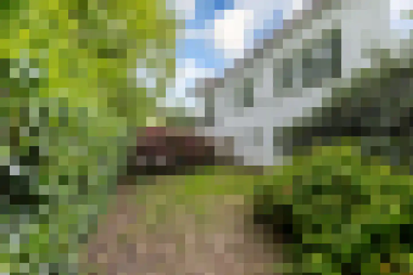 Glazoenowlaan 10 Rotterdam thumbnail 77