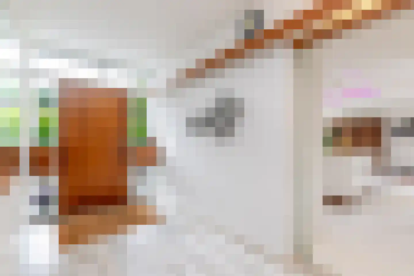 Glazoenowlaan 10 Rotterdam thumbnail 89