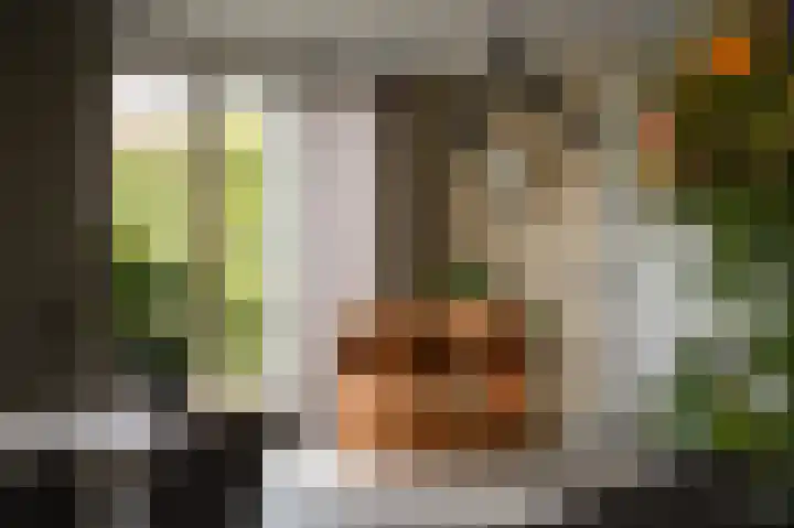 Glazuurder 1 Druten thumbnail 14