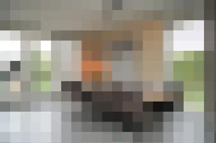 Glazuurder 1 Druten thumbnail 15