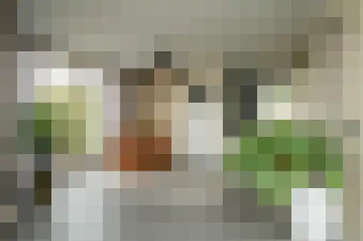 Glazuurder 1 Druten thumbnail 19