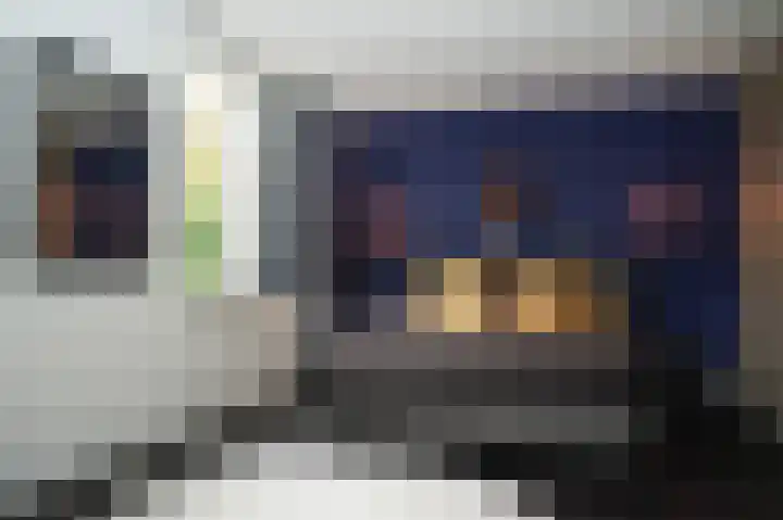 Glazuurder 1 Druten thumbnail 25