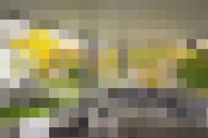 Glazuurder 1 Druten thumbnail 42