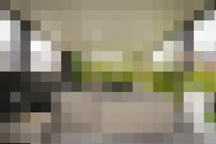 Glazuurder 1 Druten thumbnail 43