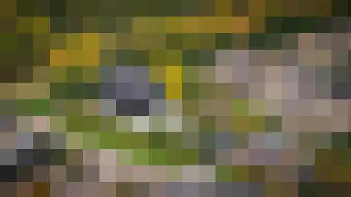 Glazuurder 1 Druten thumbnail 59