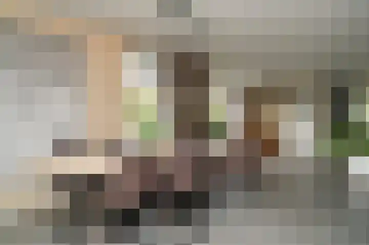 Glazuurder 1 Druten thumbnail 6