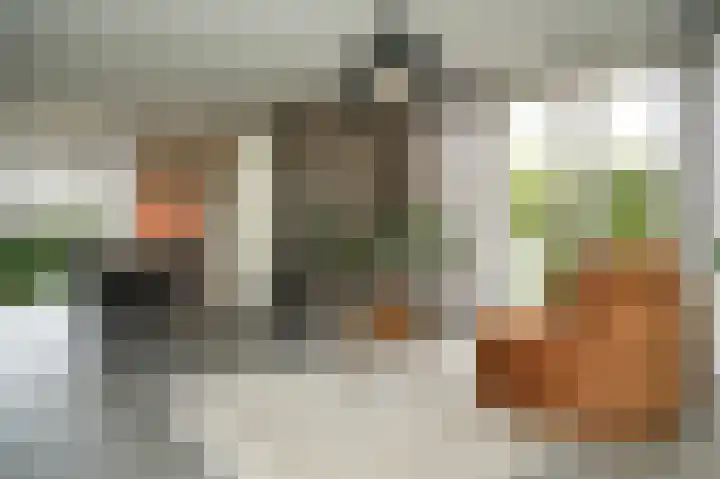 Glazuurder 1 Druten thumbnail 7