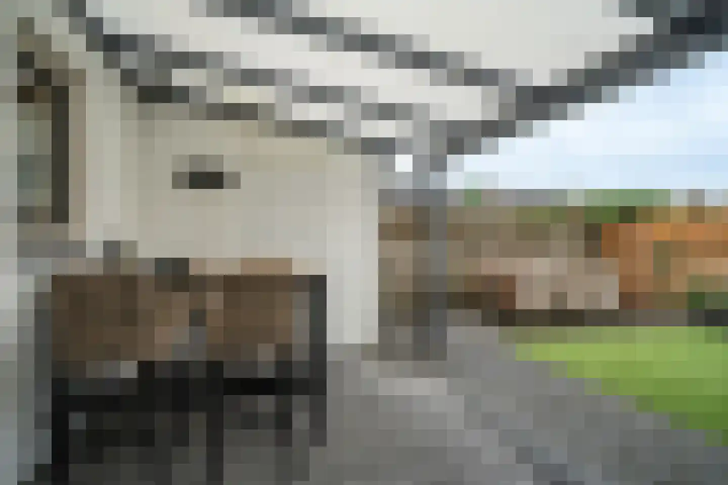 Glazuurstraat 5 Reuver thumbnail 38