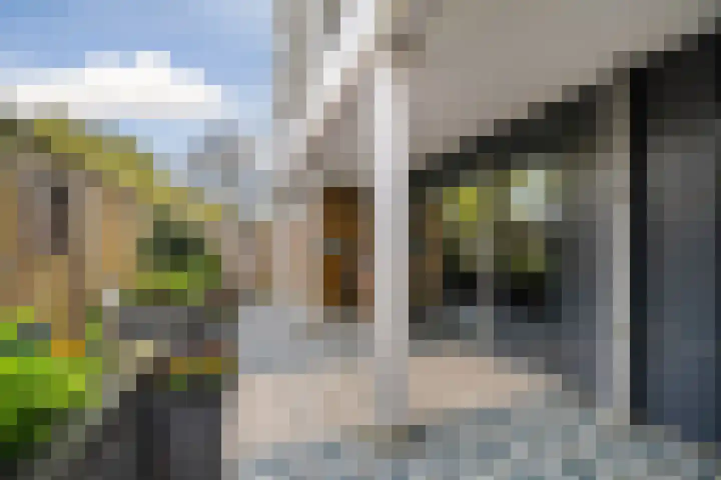 Gleditsiastraat 39 Almere thumbnail 11