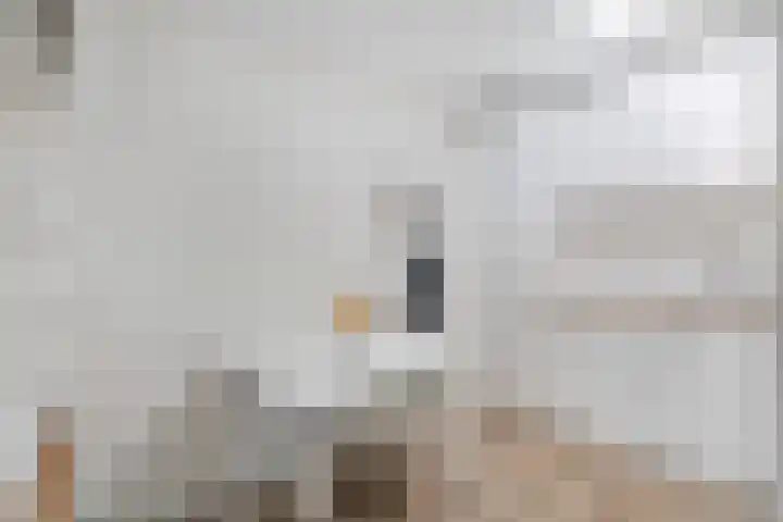 Gleditsiastraat 39 Almere thumbnail 14