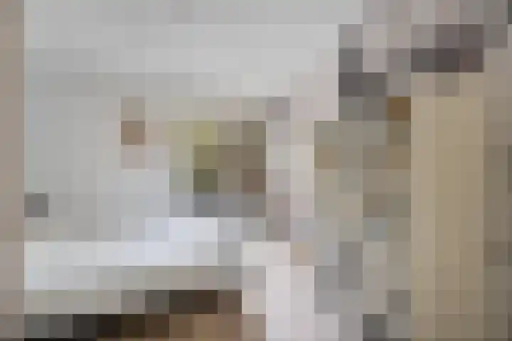 Gleditsiastraat 39 Almere thumbnail 20