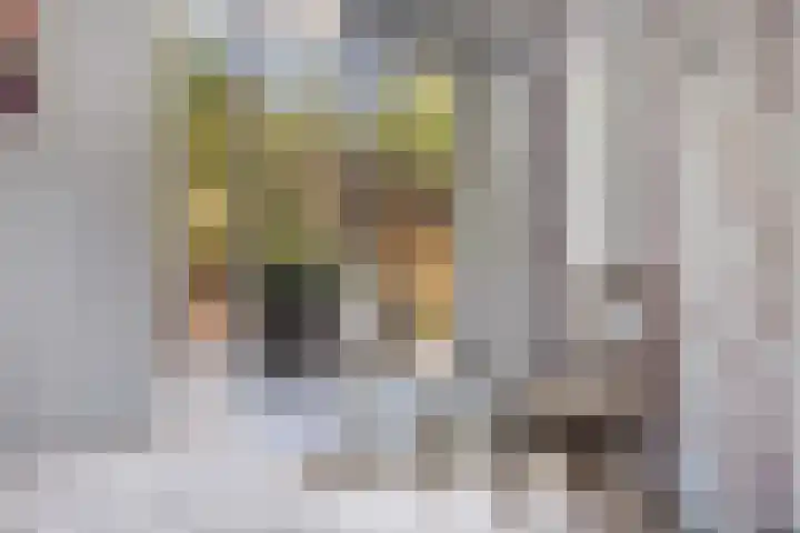 Gleditsiastraat 39 Almere thumbnail 22